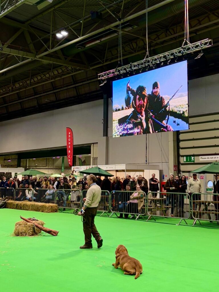 A dog training exhibition with one man and one dog. 